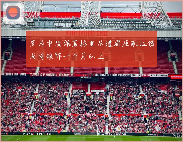 罗马中场佩莱格里尼遭遇屈肌拉伤或将缺阵一个月以上